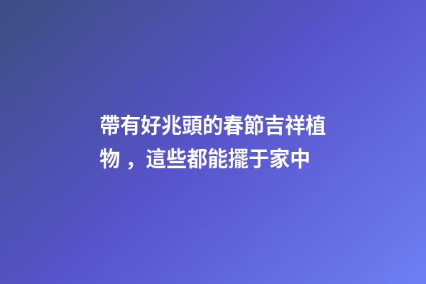 帶有好兆頭的春節吉祥植物，這些都能擺于家中